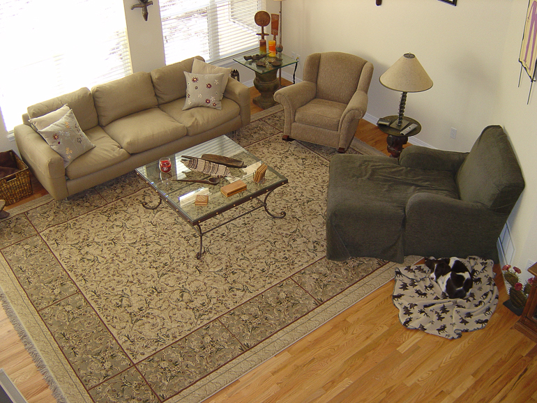 Newt in Family Room