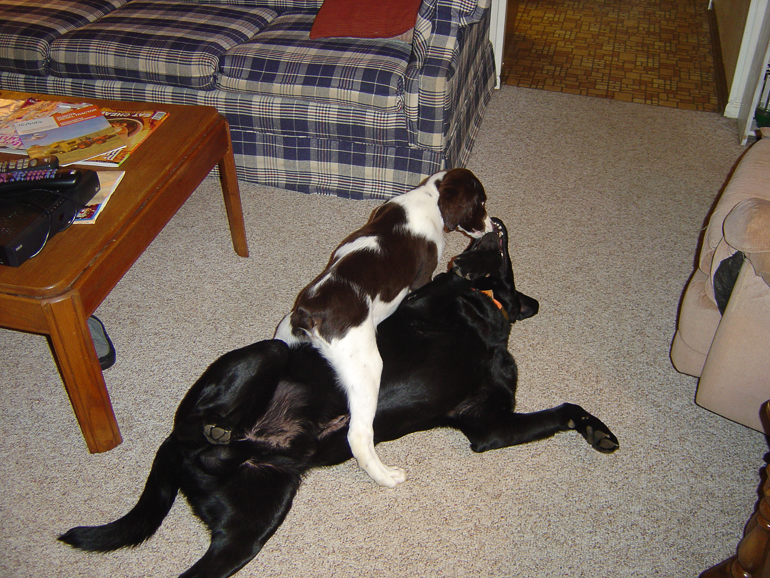 Newt & Jake