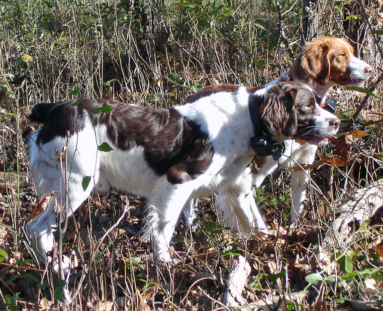 Newt & Maddie