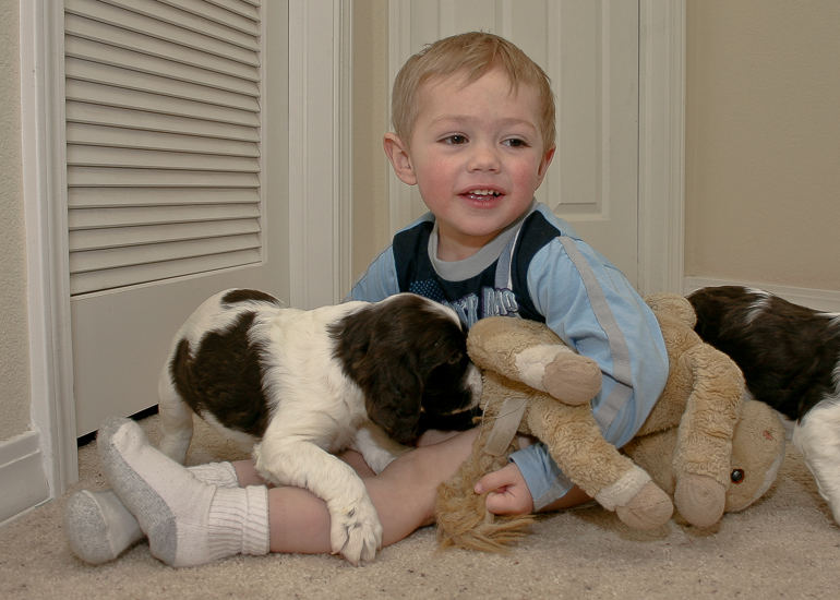 Grant Kish, Horse and puppies.