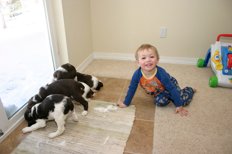 Grant Kish and Maddie's first litter.