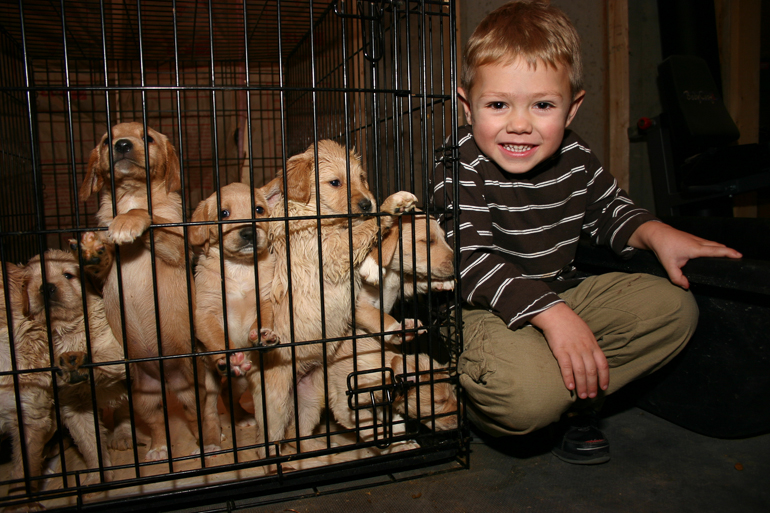 Grant Kish and Maddie's litter.